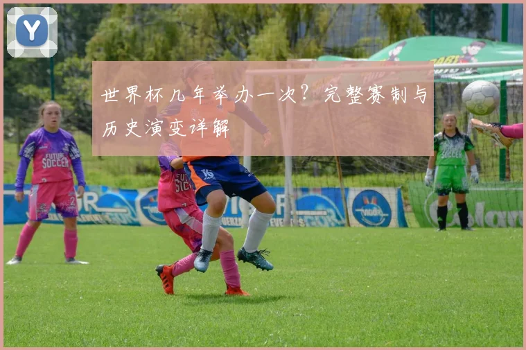 世界杯几年举办一次？完整赛制与历史演变详解