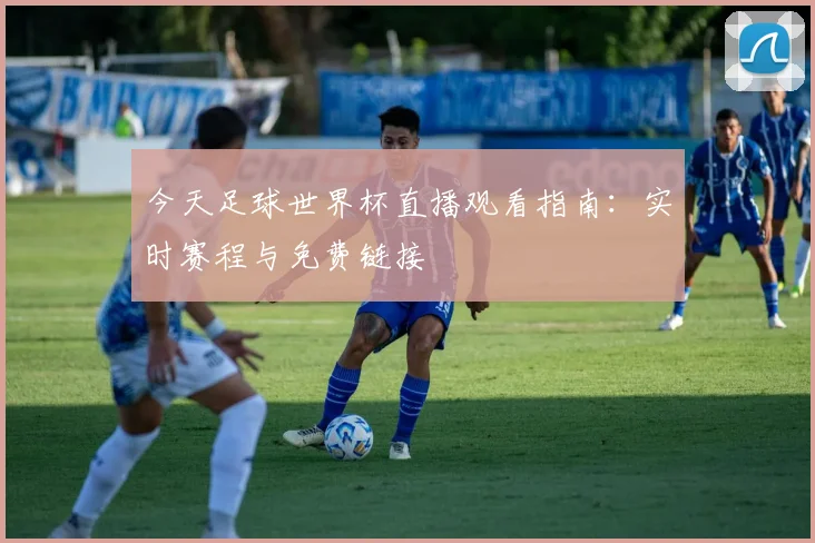 今天足球世界杯直播观看指南：实时赛程与免费链接